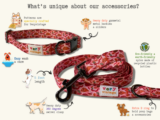 Butcher Shop - Recycled Eco-Friendly 5 ft Leash